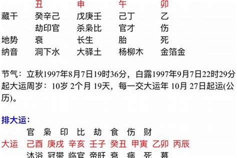 八字木旺|八字木旺的人特徵 性格較好易相處